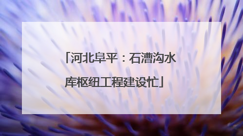 河北阜平：石漕沟水库枢纽工程建设忙