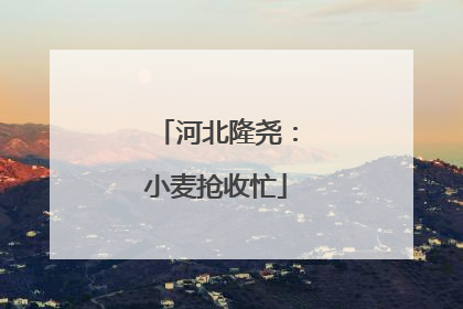 河北隆尧：小麦抢收忙