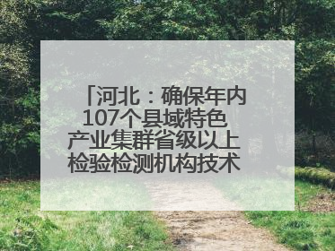 河北：确保年内107个县域特色产业集群省级以上检验检测机构技术服务全覆盖