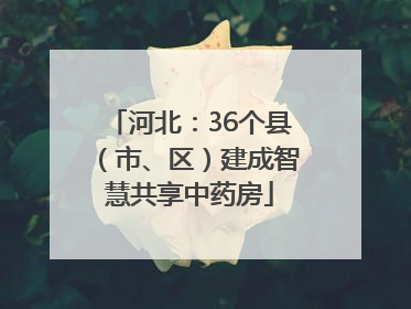 河北：36个县（市、区）建成智慧共享中药房