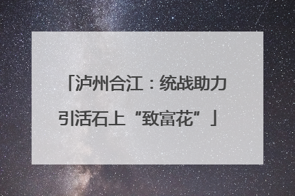 泸州合江：统战助力引活石上“致富花”