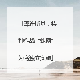 泽连斯基：特种作战“蛛网”为乌独立实施