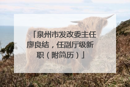 泉州市发改委主任廖良结，任副厅级新职（附简历）