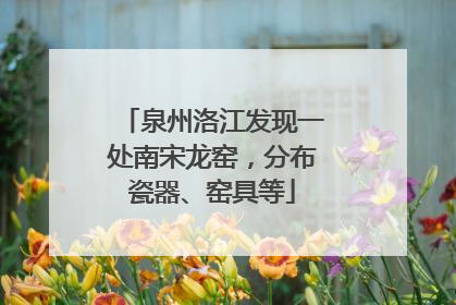 泉州洛江发现一处南宋龙窑，分布瓷器、窑具等