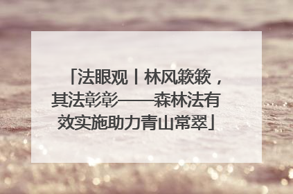 法眼观丨林风簌簌，其法彰彰——森林法有效实施助力青山常翠