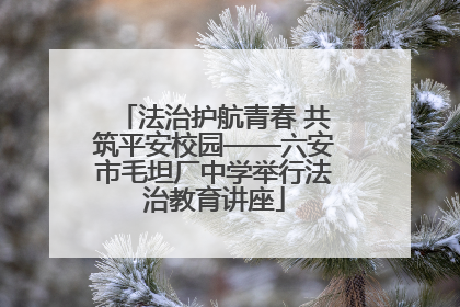 法治护航青春 共筑平安校园——六安市毛坦厂中学举行法治教育讲座