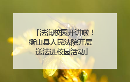 法润校园开讲啦！衡山县人民法院开展 送法进校园活动