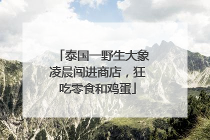 泰国一野生大象凌晨闯进商店，狂吃零食和鸡蛋