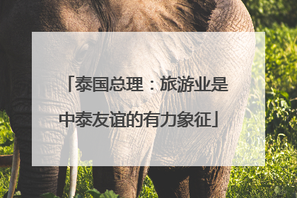 泰国总理：旅游业是中泰友谊的有力象征