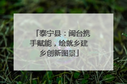 泰宁县：闽台携手赋能，绘就乡建乡创新图景
