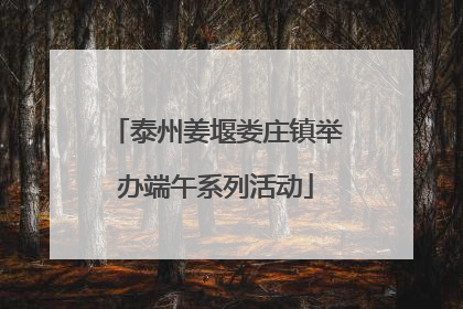 泰州姜堰娄庄镇举办端午系列活动