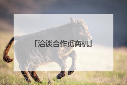 洽谈合作觅商机