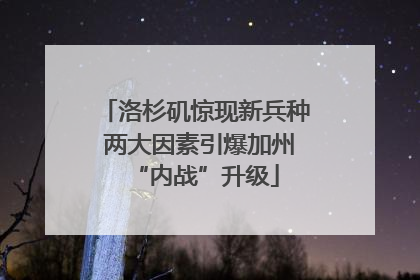 洛杉矶惊现新兵种 两大因素引爆加州“内战”升级
