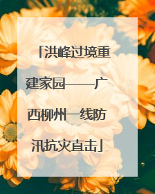 洪峰过境重建家园——广西柳州一线防汛抗灾直击