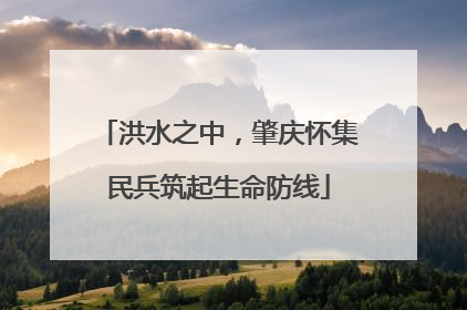 洪水之中，肇庆怀集民兵筑起生命防线