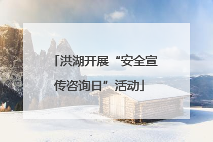 洪湖开展“安全宣传咨询日”活动