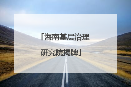 海南基层治理研究院揭牌