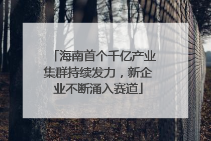 海南首个千亿产业集群持续发力，新企业不断涌入赛道