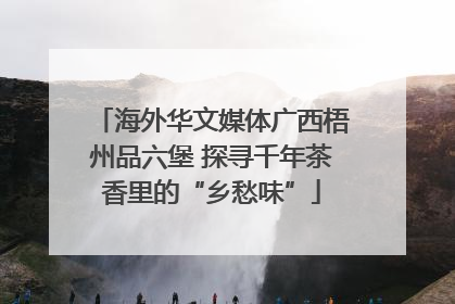海外华文媒体广西梧州品六堡 探寻千年茶香里的“乡愁味”