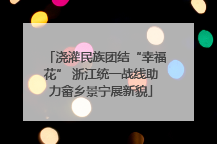浇灌民族团结“幸福花” 浙江统一战线助力畲乡景宁展新貌