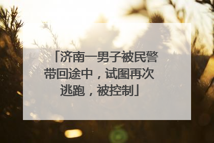 济南一男子被民警带回途中，试图再次逃跑，被控制
