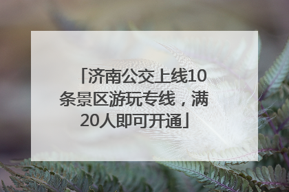 济南公交上线10条景区游玩专线，满20人即可开通