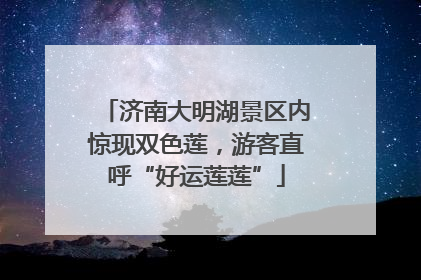 济南大明湖景区内惊现双色莲，游客直呼“好运莲莲”
