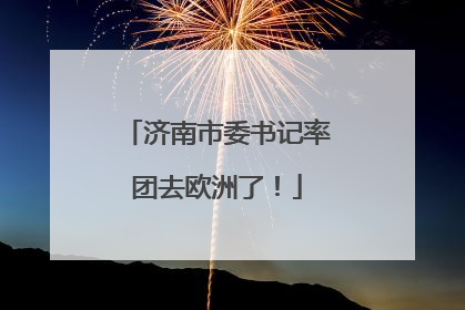 济南市委书记率团去欧洲了！