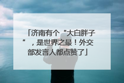 济南有个“大白胖子”，是世界之最！外交部发言人都点赞了