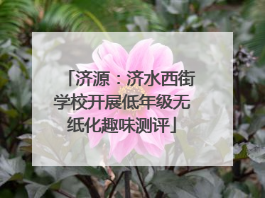 济源：济水西街学校开展低年级无纸化趣味测评