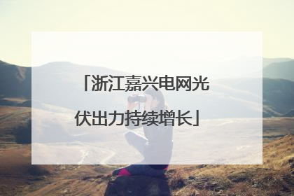 浙江嘉兴电网光伏出力持续增长
