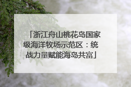 浙江舟山桃花岛国家级海洋牧场示范区：统战力量赋能海岛共富