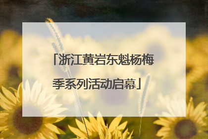 浙江黄岩东魁杨梅季系列活动启幕