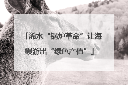 浠水“锅炉革命”让海鳗游出“绿色产值”