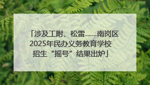 涉及工附、松雷……南岗区2025年民办义务教育学校招生“摇号”结果出炉