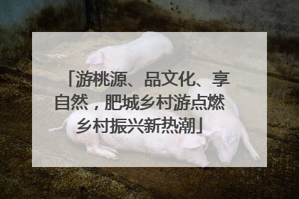 游桃源、品文化、享自然，肥城乡村游点燃乡村振兴新热潮
