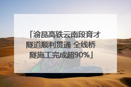 渝昆高铁云南段育才隧道顺利贯通 全线桥隧施工完成超90%