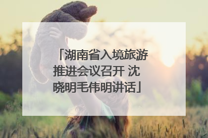 湖南省入境旅游推进会议召开 沈晓明毛伟明讲话