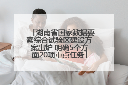 湖南省国家数据要素综合试验区建设方案出炉 明确5个方面20项重点任务