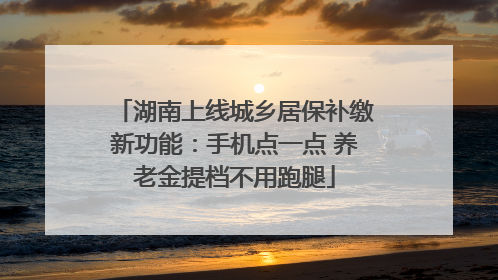 湖南上线城乡居保补缴新功能：手机点一点 养老金提档不用跑腿