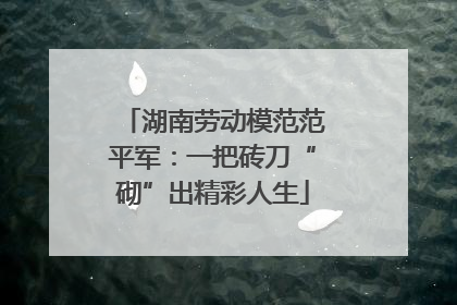 湖南劳动模范范平军：一把砖刀“砌”出精彩人生
