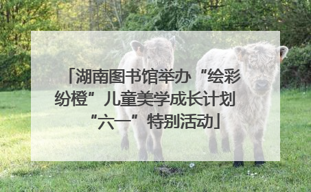 湖南图书馆举办“绘彩纷橙”儿童美学成长计划“六一”特别活动