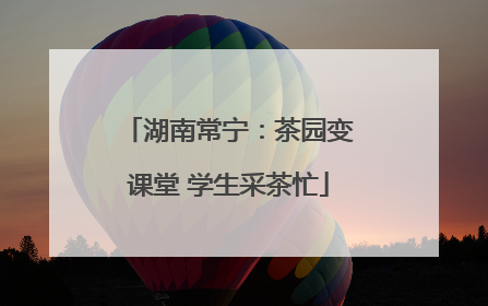 湖南常宁：茶园变课堂 学生采茶忙