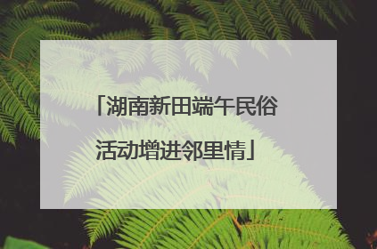 湖南新田端午民俗活动增进邻里情