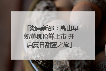 湖南新邵：高山早熟黄桃抢鲜上市 开启夏日甜蜜之旅