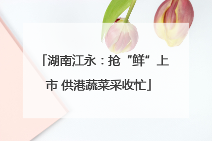 湖南江永：抢“鲜”上市 供港蔬菜采收忙