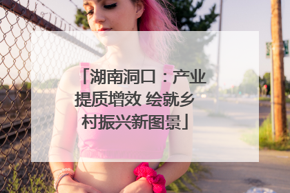湖南洞口：产业提质增效 绘就乡村振兴新图景