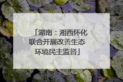 湖南：湘西怀化联合开展改善生态环境民主监督