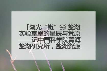 湖光“链”影 盐湖实验室里的星辰与荒原——记中国科学院青海盐湖研究所，盐湖资源化学实验室党总支书记、副主任刘忠