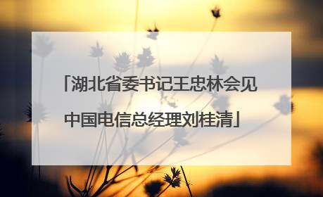 湖北省委书记王忠林会见中国电信总经理刘桂清